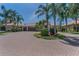 Attractive home with a paved driveway, beautiful plants, and mature palm trees creating curb appeal at 1033 Tuscany Dr, Trinity, FL 34655