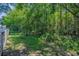 Secluded backyard bordered by dense trees offers privacy and a natural setting at 12800 Solola Way, Trinity, FL 34655