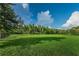 Expansive green space available for residents to use and enjoy at 12800 Solola Way, Trinity, FL 34655