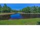 A calm pond surrounded by lush greenery and trees offers a serene view and enhances the property's natural beauty at 12800 Solola Way, Trinity, FL 34655
