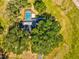 Aerial view of a beautiful home featuring a private pool surrounded by lush greenery and mature trees at 196 Lark Ave, Brooksville, FL 34601