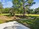 Scenic backyard view featuring mature trees and lush landscaping at 196 Lark Ave, Brooksville, FL 34601