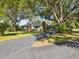 Single-story home with a long driveway, mature trees, and charming curb appeal at 196 Lark Ave, Brooksville, FL 34601