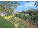 The backyard is green with a screened-in area and a large shed at 2254 Coachman Rd, Spring Hill, FL 34608