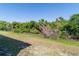 Spacious backyard featuring lush greenery and an expansive lawn, perfect for outdoor activities at 2325 Pleasant Hill Ln, Holiday, FL 34691