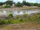 Scenic backyard featuring views of a pond, perfect for relaxing and enjoying nature at 273 Gulfport Ln, Spring Hill, FL 34608
