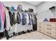 Spacious walk-in closet featuring ample hanging space, shelving, and a dresser for optimal organization at 2815 Dudley Ave, Odessa, FL 33556
