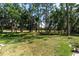 Beautiful backyard with mature trees and lush greenery, perfect for relaxation and recreation at 3047 Bolt Dr, Palm Harbor, FL 34685