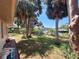The backyard has grass, palm trees and leads to a canal with a dock and boats at 4328 Marine Pkwy, New Port Richey, FL 34652