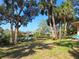 Lush backyard featuring mature trees, landscaping, and a canal waterfront at 4328 Marine Pkwy, New Port Richey, FL 34652