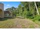 Wide backyard surrounded by lush trees and plants at 4469 Lake In The Woods Dr, Spring Hill, FL 34607