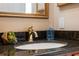 Bathroom sink with a gold faucet, decorative mirror, and soap dispenser at 4469 Lake In The Woods Dr, Spring Hill, FL 34607