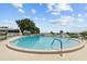 A beautiful swimming pool with a clear blue sky and palm trees in the background at 585 Sky Harbor Dr # 219, Clearwater, FL 33759