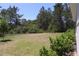 Lush backyard featuring a mix of grass, plants and woods offering privacy at 6063 Dusk Rose Ln, Brooksville, FL 34601