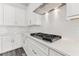 White kitchen cabinets, subway tile backsplash, stainless steel appliances, and a gas cooktop at 6063 Dusk Rose Ln, Brooksville, FL 34601
