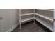 Walk-in pantry with adjustable shelving and wood-look flooring, perfect for storage at 6063 Dusk Rose Ln, Brooksville, FL 34601