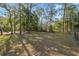 Large, grassy backyard with mature trees offers ample space for outdoor activities at 6080 Dexter Ln, Brooksville, FL 34602