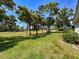 Beautiful backyard showcasing well-maintained lawn and mature trees, offering a serene outdoor space at 9237 Penelope Dr, Weeki Wachee, FL 34613
