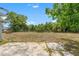 Expansive backyard with mature trees and ample space for outdoor activities at 9640 Northcliffe Blvd, Spring Hill, FL 34608