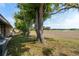 Large backyard with mature trees, grassy lawn, and a glimpse of the lake at 11241 Dollar Lake Dr # 5, Port Richey, FL 34668