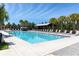 Community pool with crystal clear water surrounded by palm trees and lounge chairs at 12889 Burns Dr, Odessa, FL 33556