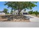 Charming single-story home featuring a well-maintained lawn and mature tree, offering shade and curb appeal at 13098 Hanley Dr, Spring Hill, FL 34609