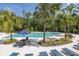 A luxurious swimming pool surrounded by palm trees, lounge chairs, and patio seating at 16557 Acoustic Loop, Land O Lakes, FL 34638