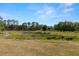 Expansive backyard with mature trees, well-maintained lawn, and natural landscaping at 22118 Yachtclub Ter, Land O Lakes, FL 34639