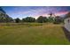 Expansive backyard with lush lawn, mature trees, and serene views of the natural surroundings at 22118 Yachtclub Ter, Land O Lakes, FL 34639