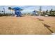 Community playground featuring slides, swings, and climbing structures, surrounded by a grassy area at 3208 Living Coral Dr, Odessa, FL 33556