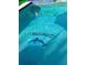 Sparkling pool with playful dolphin and flamingo floats and custom 
