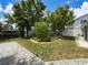 Well-manicured backyard featuring a vibrant green lawn, shade trees, and neatly arranged stone pathway at 75 N Canal Dr, Palm Harbor, FL 34684