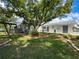 Expansive backyard featuring mature shade tree and waterfront views at 75 N Canal Dr, Palm Harbor, FL 34684