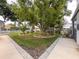 Spacious backyard featuring a large tree with swing, well-maintained lawn, and inviting landscaping at 75 N Canal Dr, Palm Harbor, FL 34684
