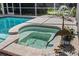 Close up of the in-ground hot tub with pool, patio and screened-in enclosure at 888 Royal Birkdale Dr, Tarpon Springs, FL 34688