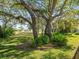 Mature trees dot the landscape of the home's backyard at 9355 French Quarters Cir, Weeki Wachee, FL 34613
