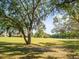 A large tree shades the grassy greenspace and the homes beyond at 9355 French Quarters Cir, Weeki Wachee, FL 34613