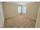 A spacious bedroom with neutral walls and carpet and two windows providing natural light at 10238 Perthshire Cir, Land O Lakes, FL 34638