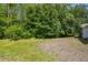 Lush backyard featuring mature trees and a well-maintained lawn at 1119 Dustan Pl, Trinity, FL 34655