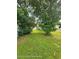 A lush green backyard with mature trees creating a serene and private outdoor space at 1127 Lodge Cir, Spring Hill, FL 34606