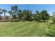 A large, well-maintained backyard lawn with a variety of shrubbery and trees surrounded by a decorative stone wall at 11325 Juglans Dr, Odessa, FL 33556