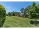 Large grassy backyard area surrounded by trees and privacy fence at 11325 Juglans Dr, Odessa, FL 33556