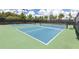 Outdoor pickleball courts with green and blue surfaces, nets, and lighting for recreational play at 11325 Juglans Dr, Odessa, FL 33556