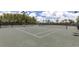 Well-maintained outdoor tennis courts with lighting, surrounded by trees and a secure fence at 11325 Juglans Dr, Odessa, FL 33556