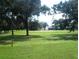 View of a verdant green golf course framed by mature trees and a golfer in the distance enjoying the grounds at 13524 Knotty Ln, Hudson, FL 34669