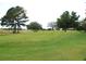 Scenic golf course with lush green fairways and mature trees at 13524 Knotty Ln, Hudson, FL 34669
