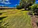 A well-maintained backyard with mature trees and lush green grass at 18027 Baywood Forest Dr, Hudson, FL 34667