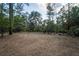 Large backyard with mature trees providing ample shade and privacy, perfect for outdoor activities at 3431 Riderwood Dr, Dade City, FL 33523