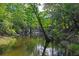 Scenic view of a tranquil creek surrounded by lush greenery at 3431 Riderwood Dr, Dade City, FL 33523