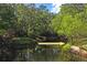 Picturesque view of a serene creek surrounded by verdant trees and foliage at 3431 Riderwood Dr, Dade City, FL 33523